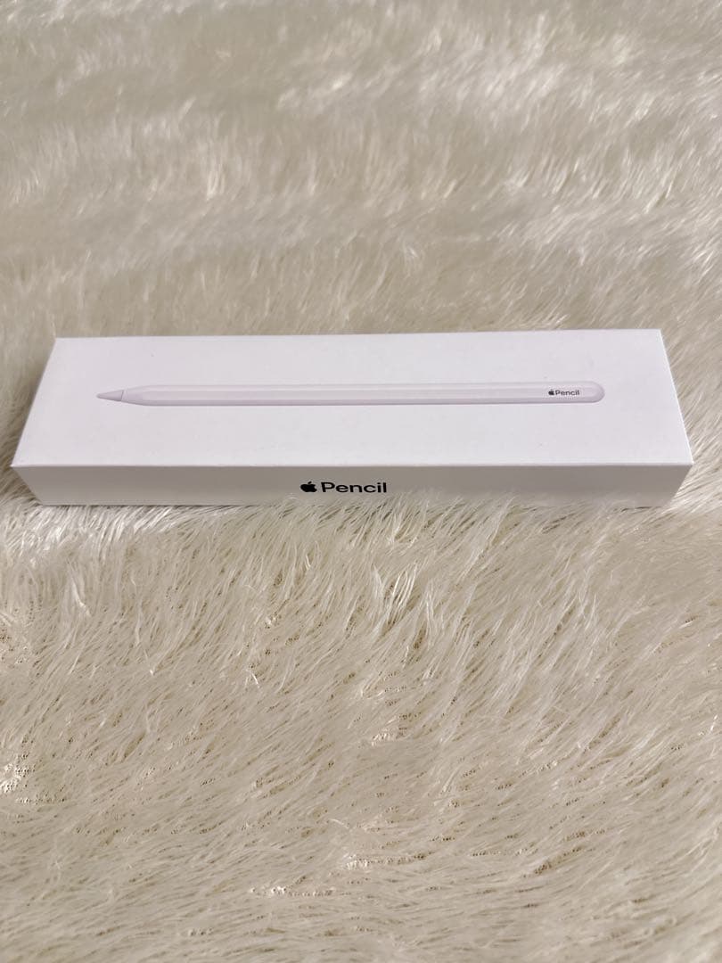 Apple Pencil アップルペンシル 第2世代 A2051