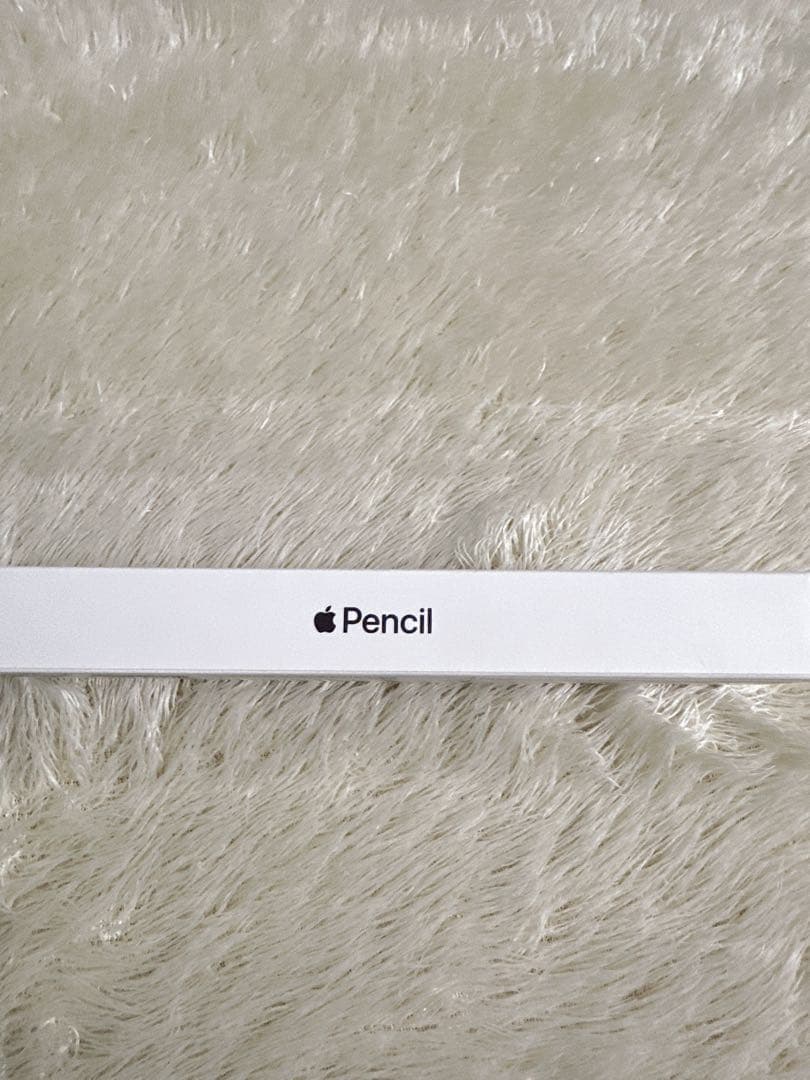 Apple Pencil アップルペンシル 第2世代 A2051
