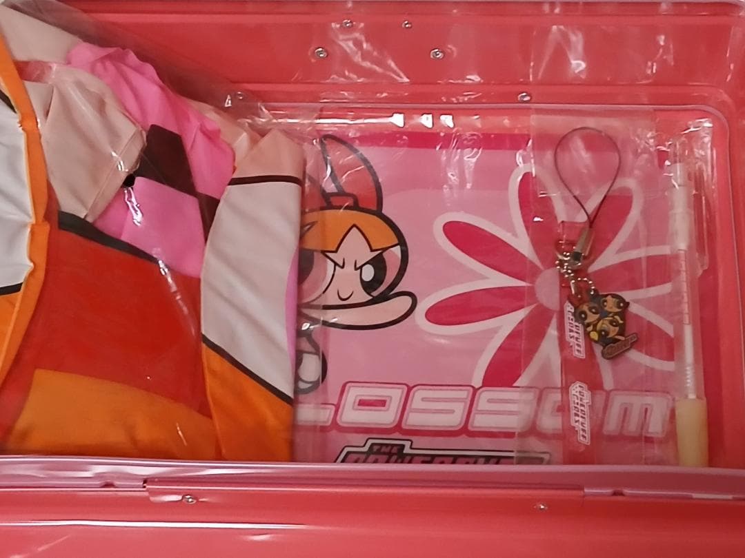 パワーパフ ガールズ DVD-BOX ブロッサム缶　輸送箱付き