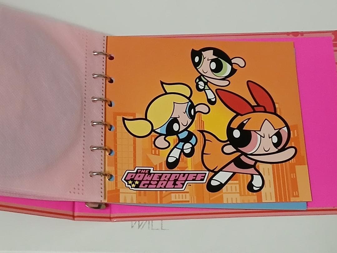 パワーパフ ガールズ DVD-BOX ブロッサム缶　輸送箱付き