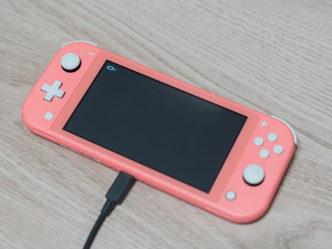 任天堂 Nintendo Switch Lite 本体＋保護フィルム＋ケース