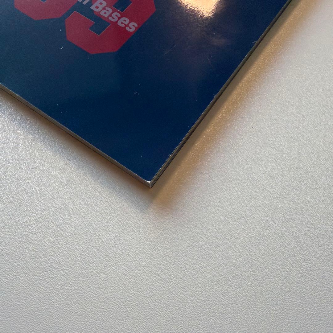 THE GREATEST 大谷翔平プレイバック2024 岩手日報報道特別記録集