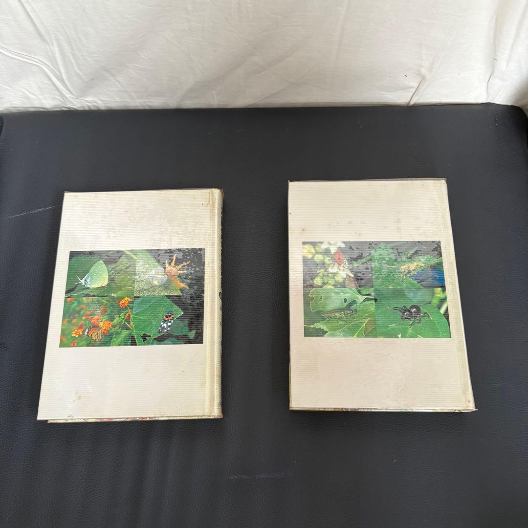 沖縄昆虫野外観察図鑑 増補改訂版 全7巻セット