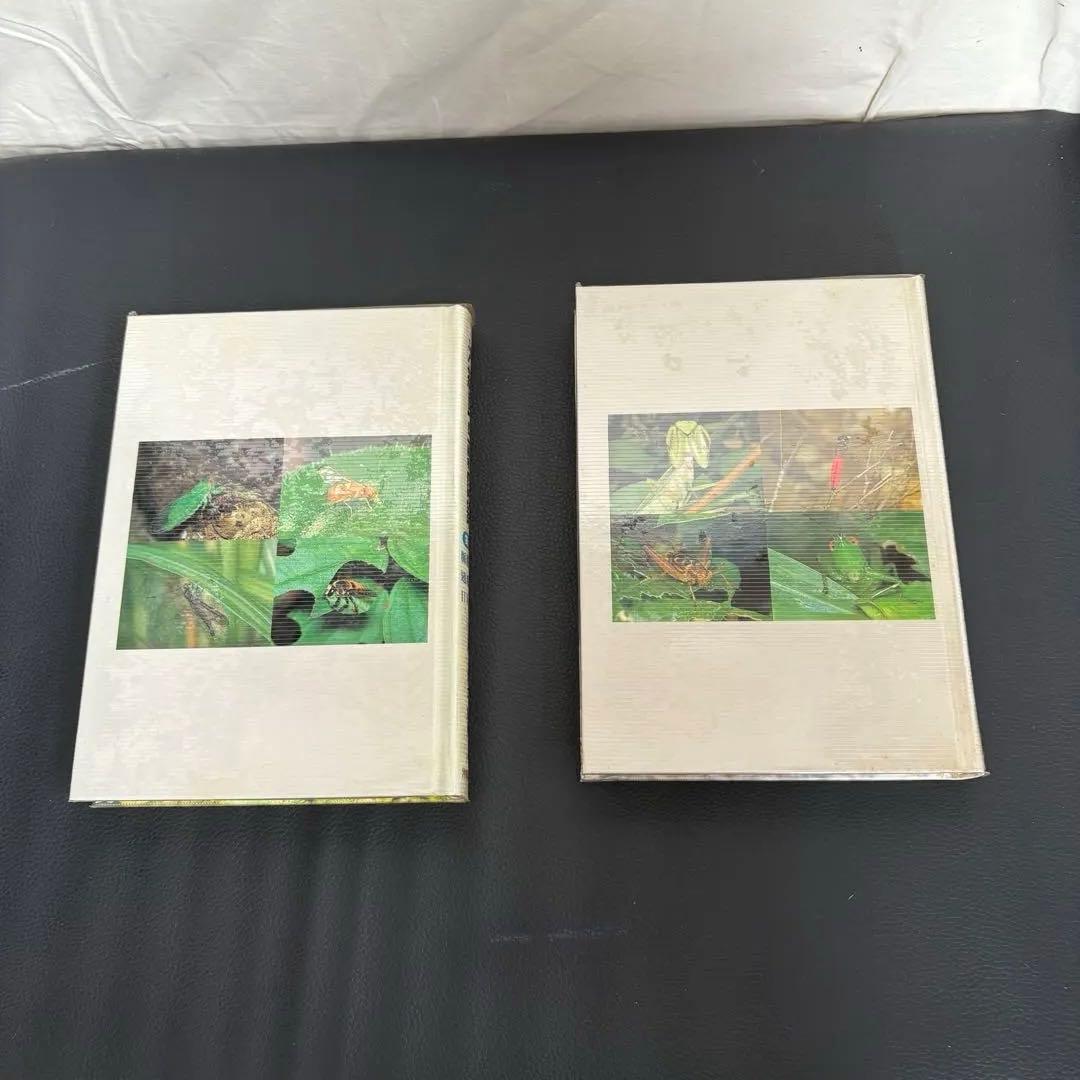 沖縄昆虫野外観察図鑑 増補改訂版 全7巻セット