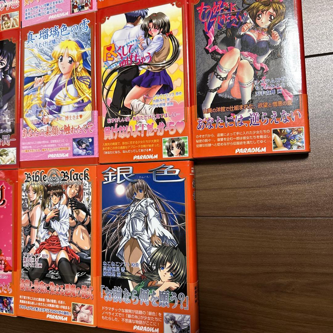 パラダイムノベルス　まとめ売り（バラ売りも可）