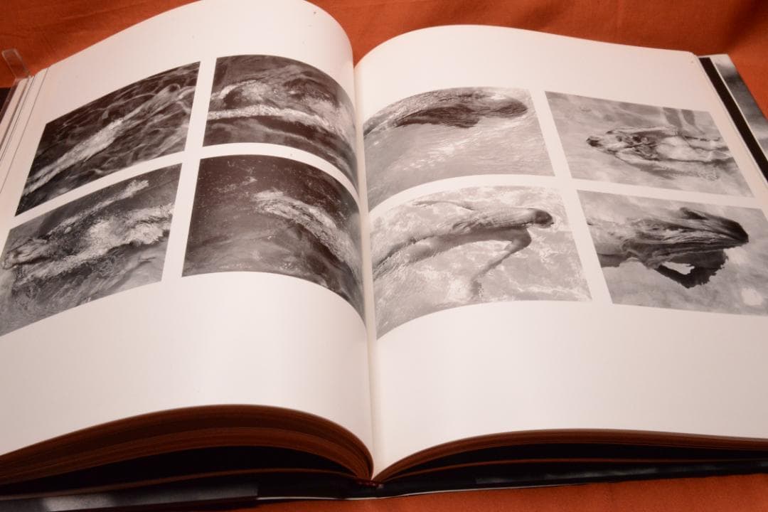 【Mermaids：Michael Dweck】 ★★大幅に値下げしました