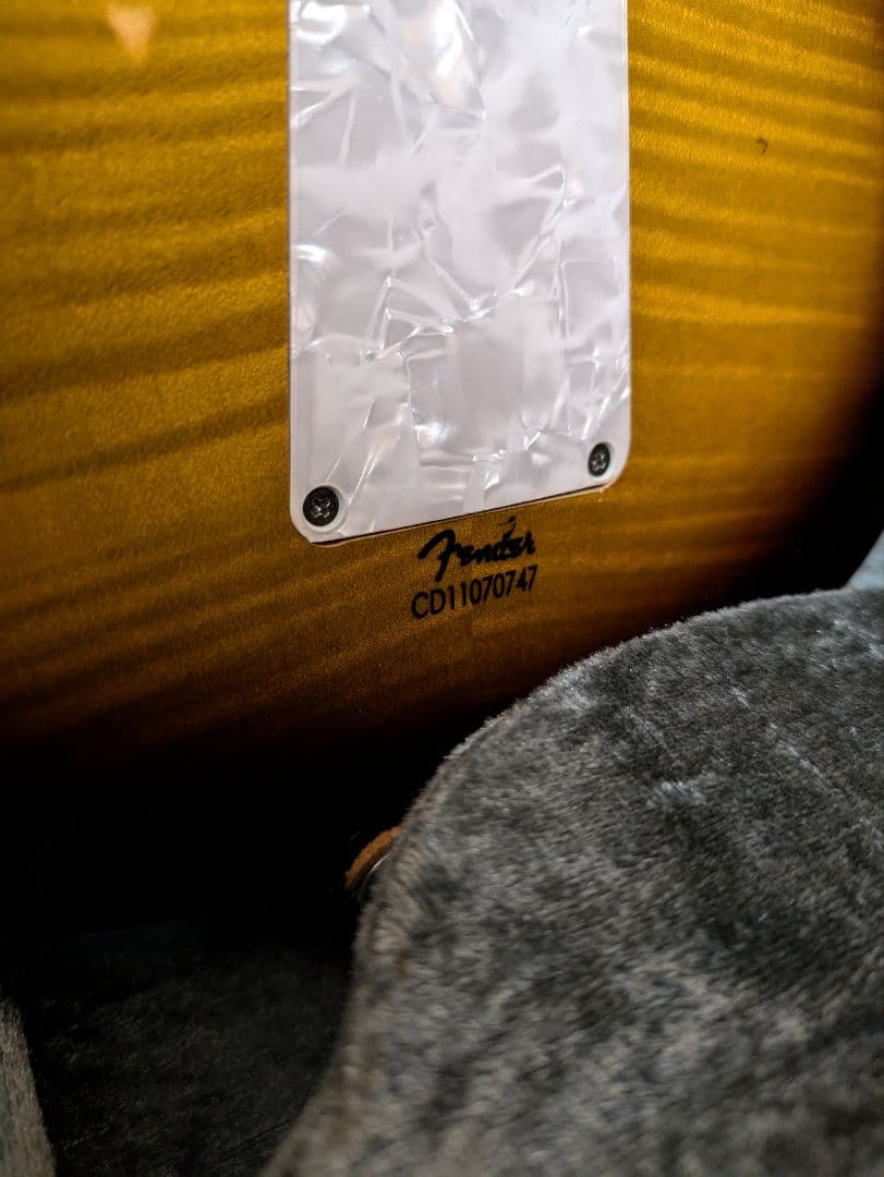 弦楽器 Fender FV-3