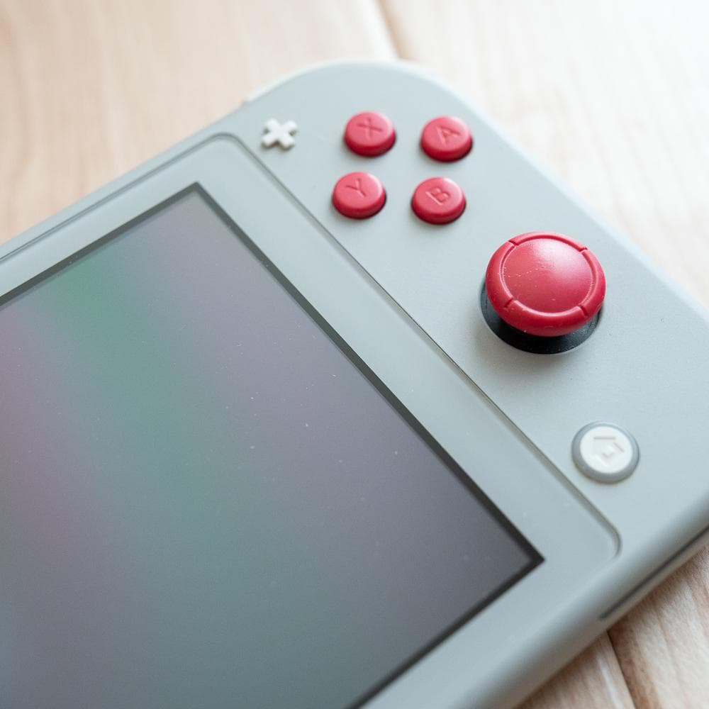 Nintendo Switch Lite グレー 充電器付き ポケモンモデル