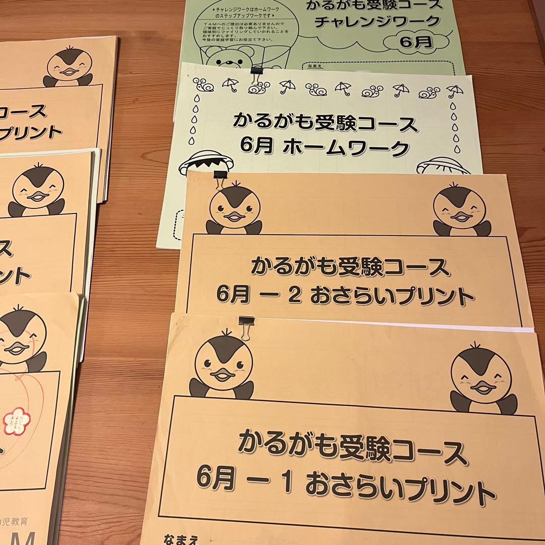 TAM小学校受験☆お受験コース年長8ヶ月分プリント　ペーパー対策に☆