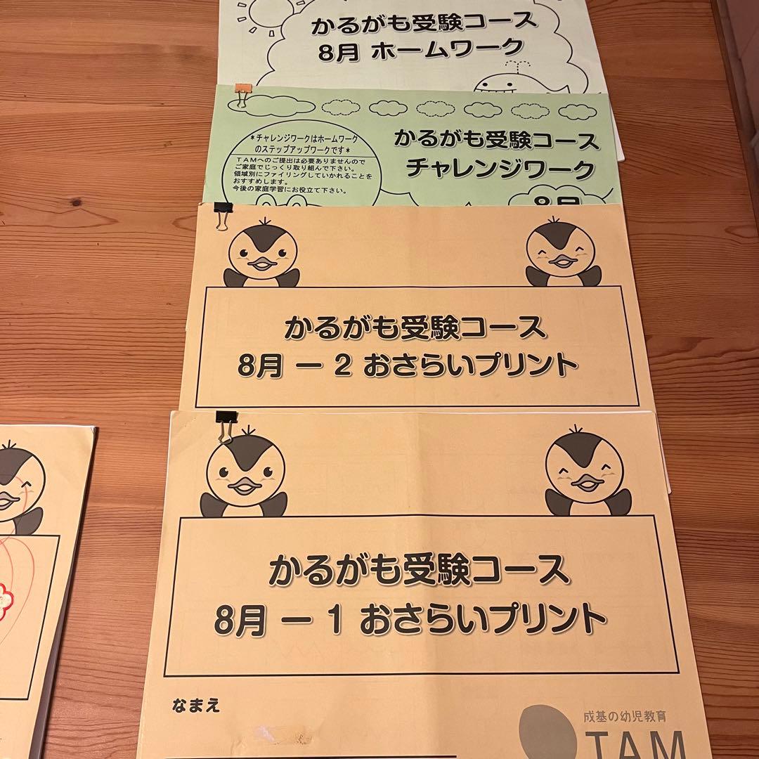 TAM小学校受験☆お受験コース年長8ヶ月分プリント　ペーパー対策に☆