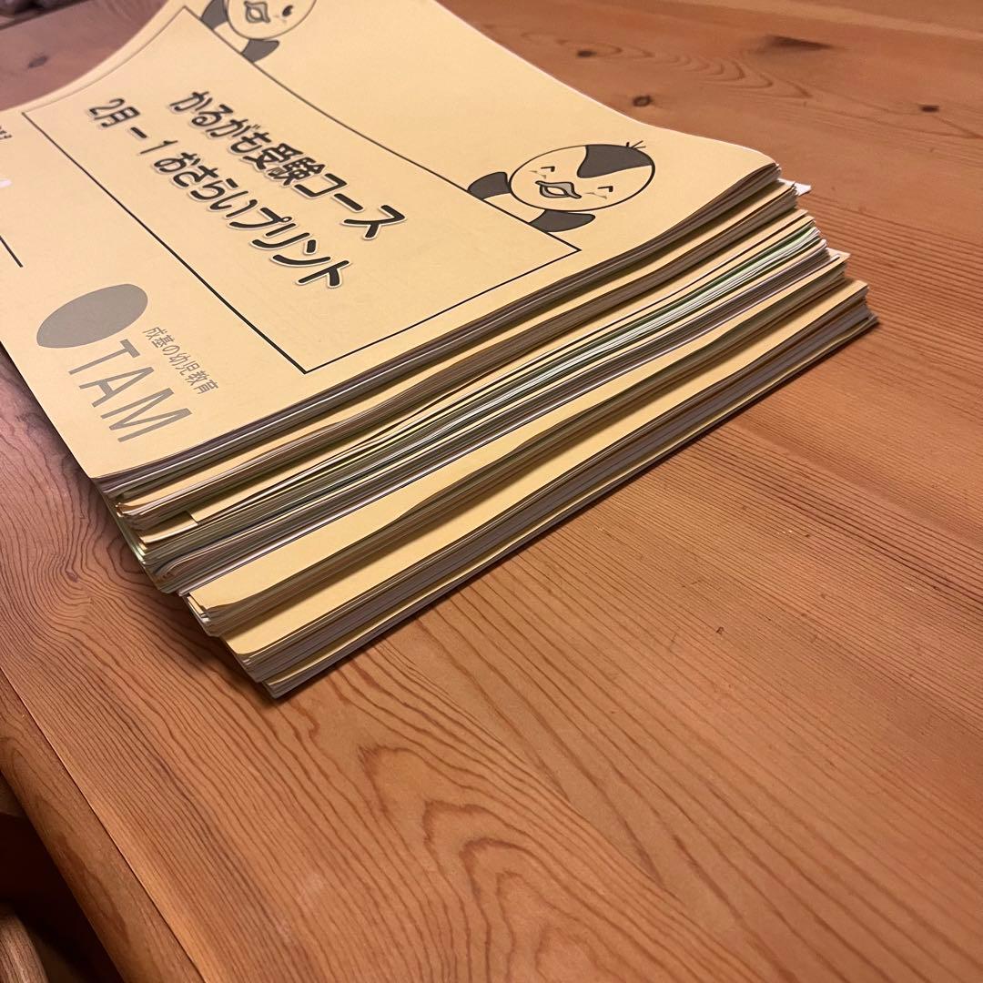 TAM小学校受験☆お受験コース年長8ヶ月分プリント　ペーパー対策に☆