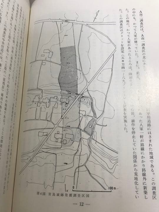 青鳥城跡　関越自動車道関係埋蔵文化財調査報告 Ⅳ