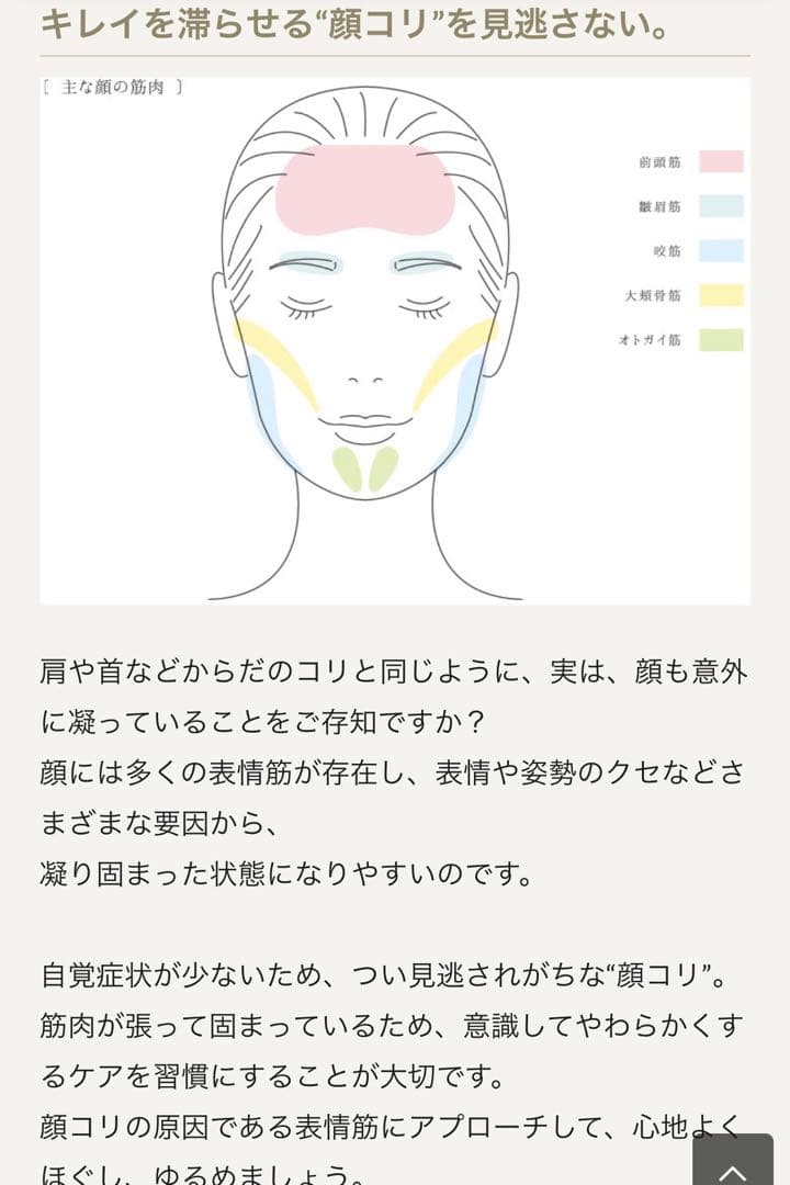 ReFa 美顔ローラー リファリズム