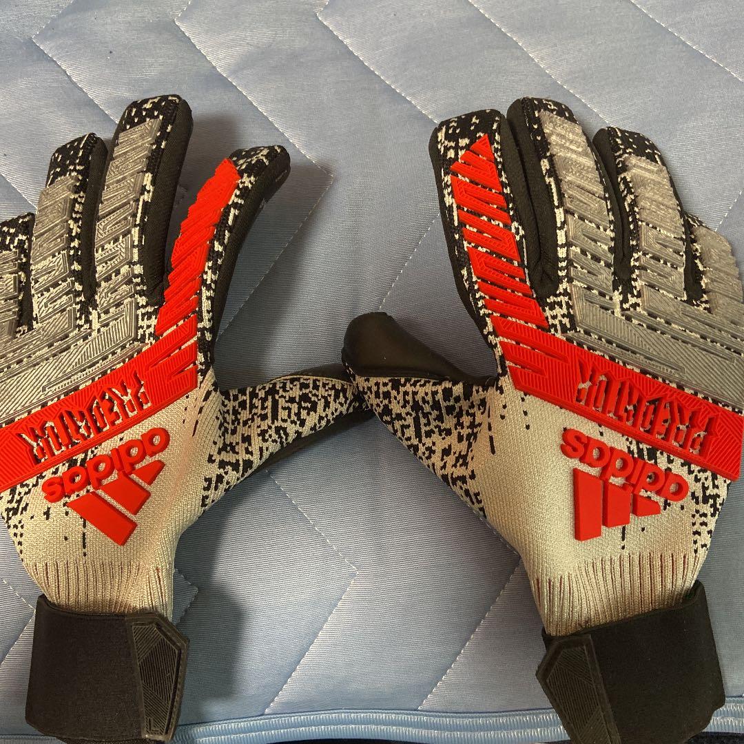 ドンナルンマ直筆サイン入りグローブ