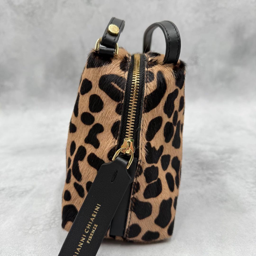 未使用級✨GIANNI CHIARINI ショルダーバッグ アリファM