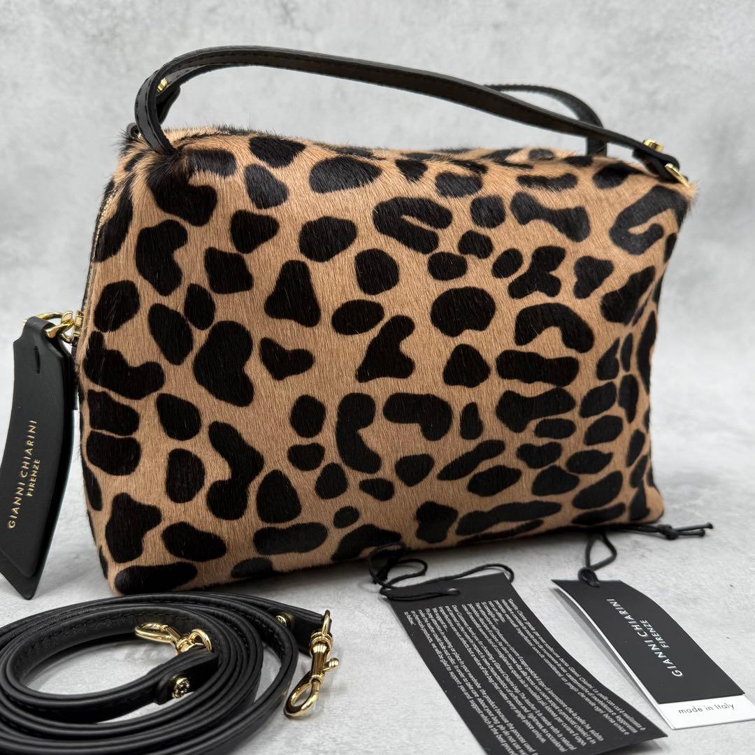 未使用級✨GIANNI CHIARINI ショルダーバッグ アリファM