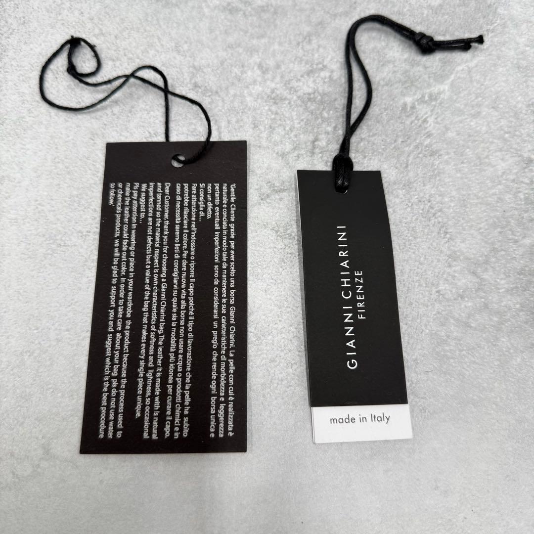 未使用級✨GIANNI CHIARINI ショルダーバッグ アリファM