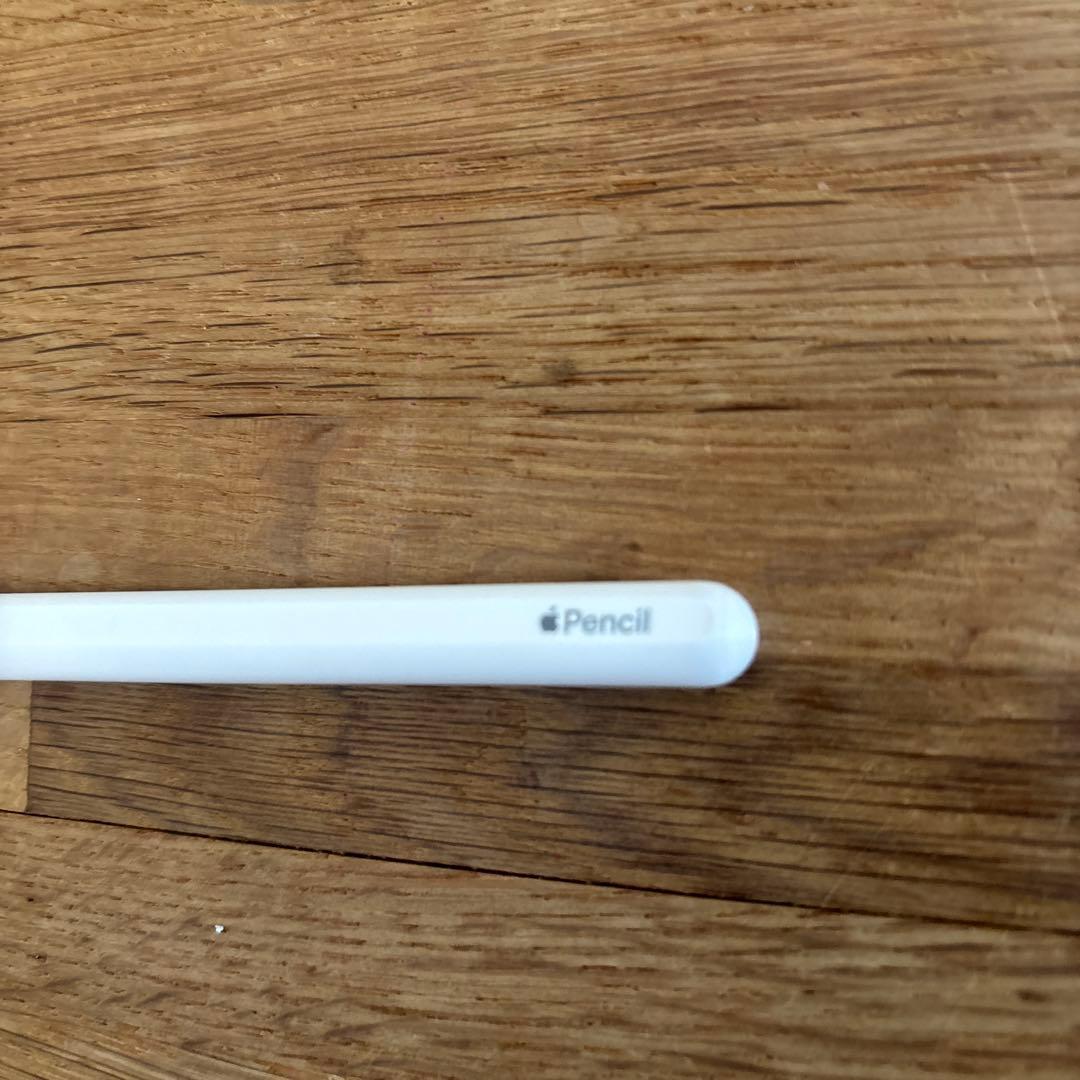 純正　Apple Pencil 第2世代とPencil Tips セット