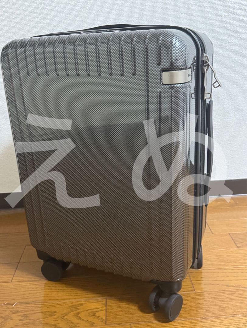 た*ん様 ACE エース 機内持ち込み スーツケース キャリーケース ブラック