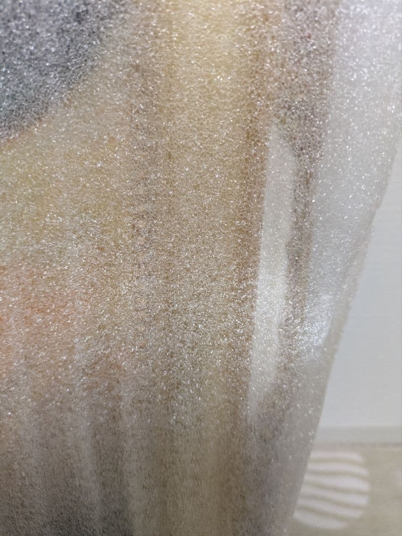 ゴッホ イーブイ 金枠 XL 証明書付き キャンバスアート ジクレー