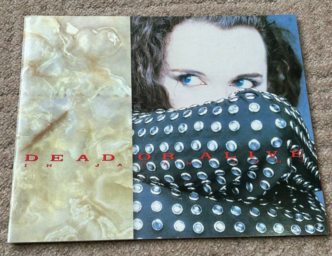 レア！デッド・オア・アライブ／Rip It Up 1987 ツアーパンフレット