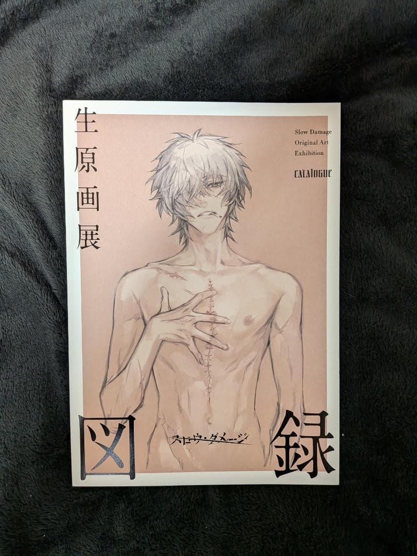 スロウダメージ 生原画展 Slow Damage 図録 新品