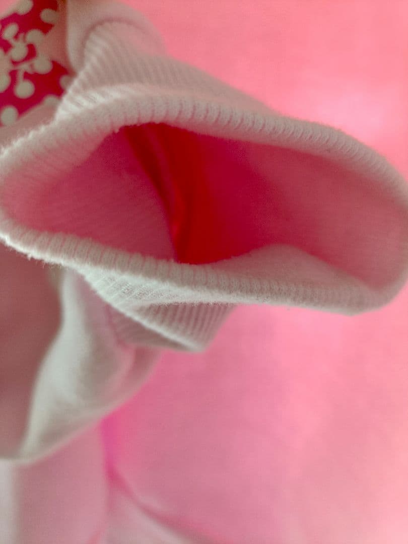 ミニー　パルパルーザ　トレーナー　ファンダーランド