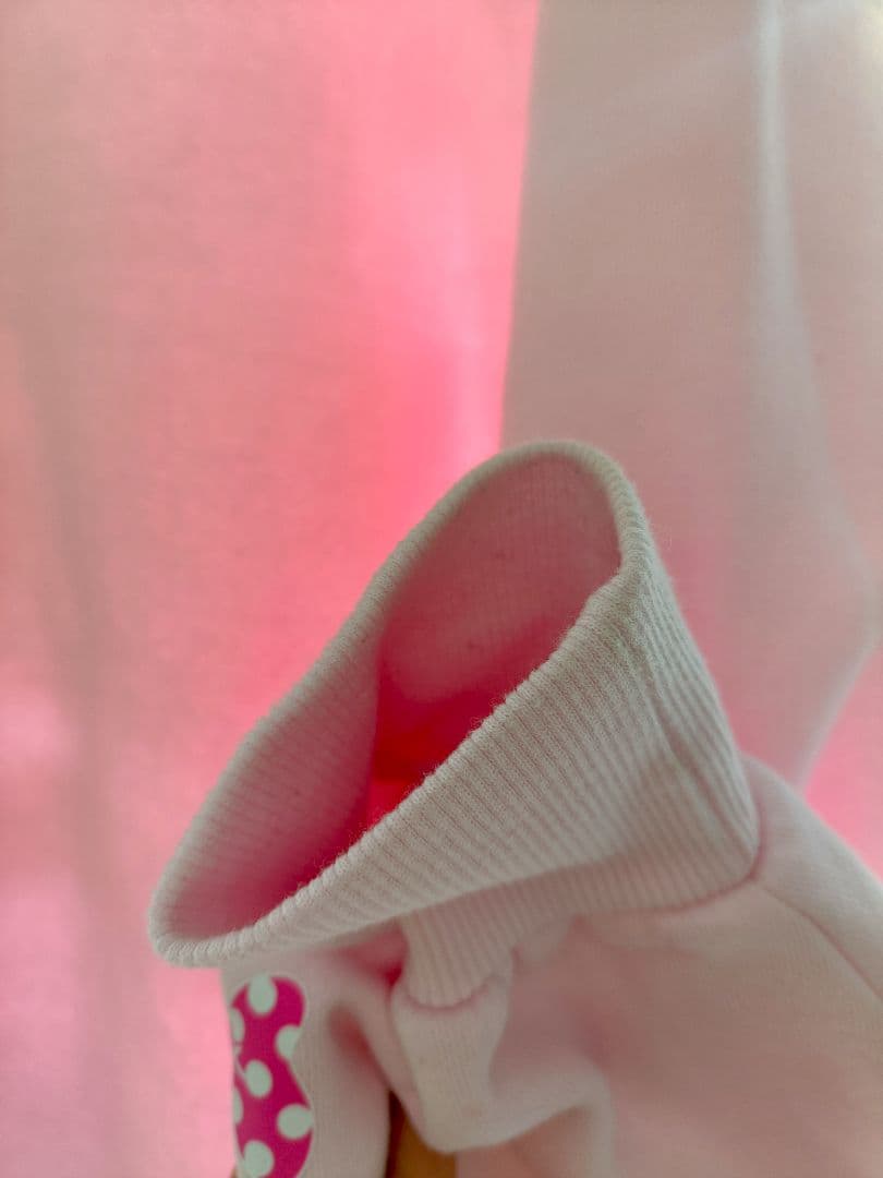 ミニー　パルパルーザ　トレーナー　ファンダーランド