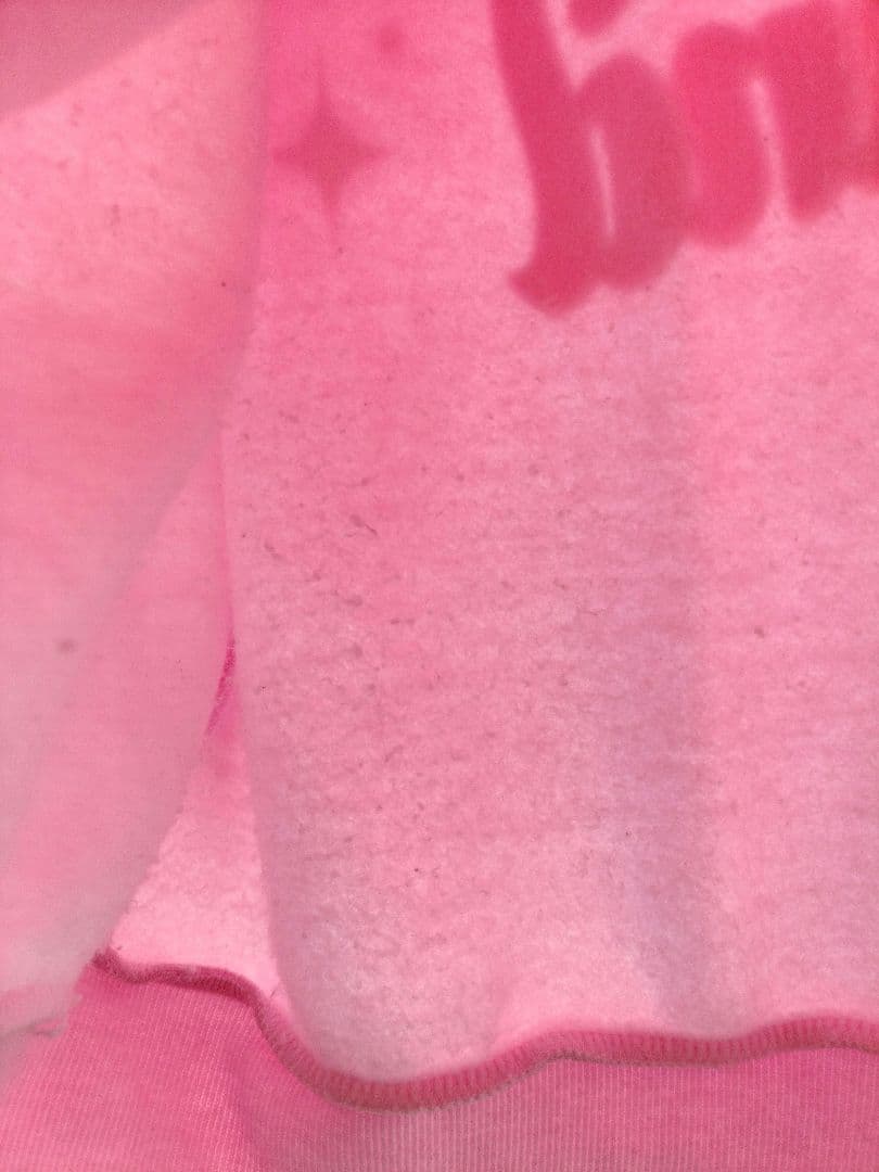 ミニー　パルパルーザ　トレーナー　ファンダーランド