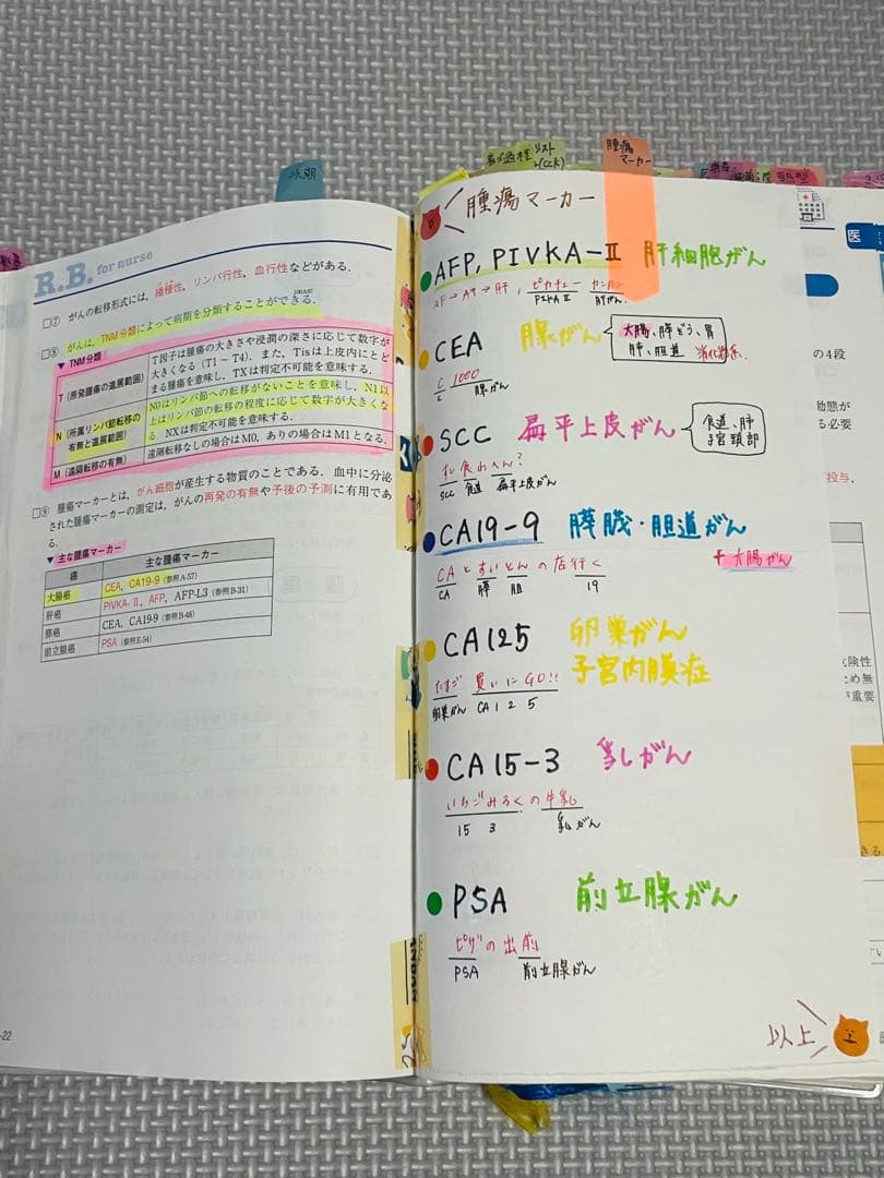 看護師　レビューブック 2020 書き込み
