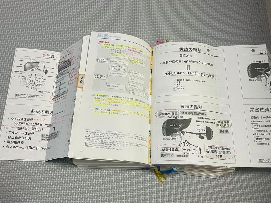 看護師　レビューブック 2020 書き込み