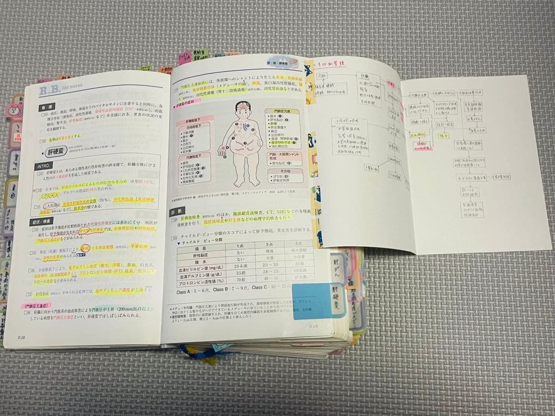 看護師　レビューブック 2020 書き込み