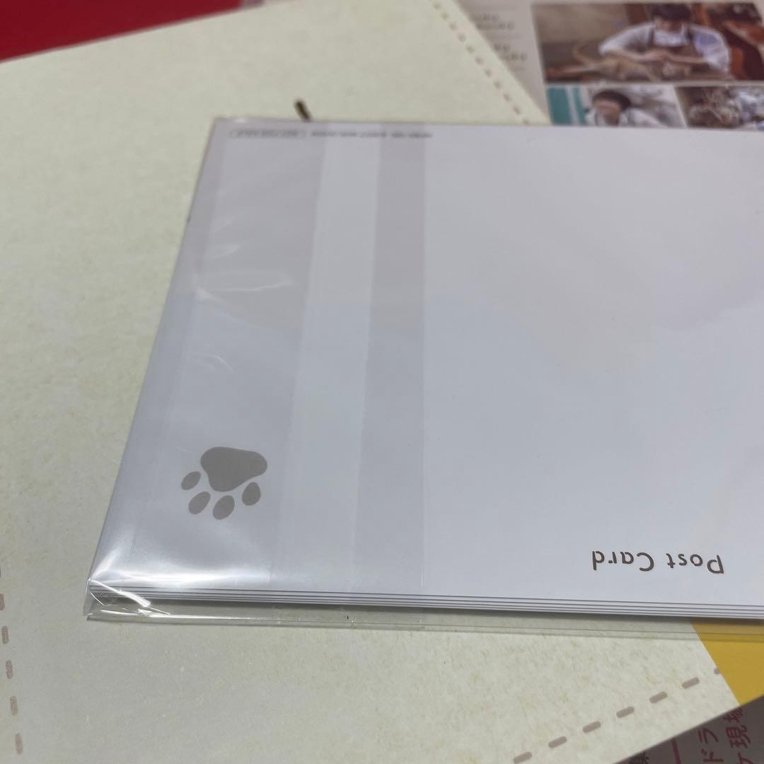 ブランケット・キャッツ DVD-BOX〈4枚組〉　美品　ドラマ　西島秀俊