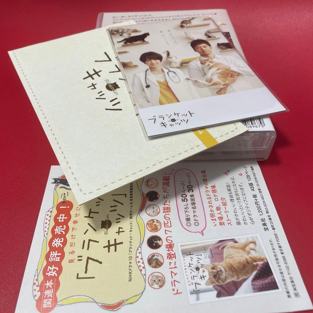 ブランケット・キャッツ DVD-BOX〈4枚組〉　美品　ドラマ　西島秀俊