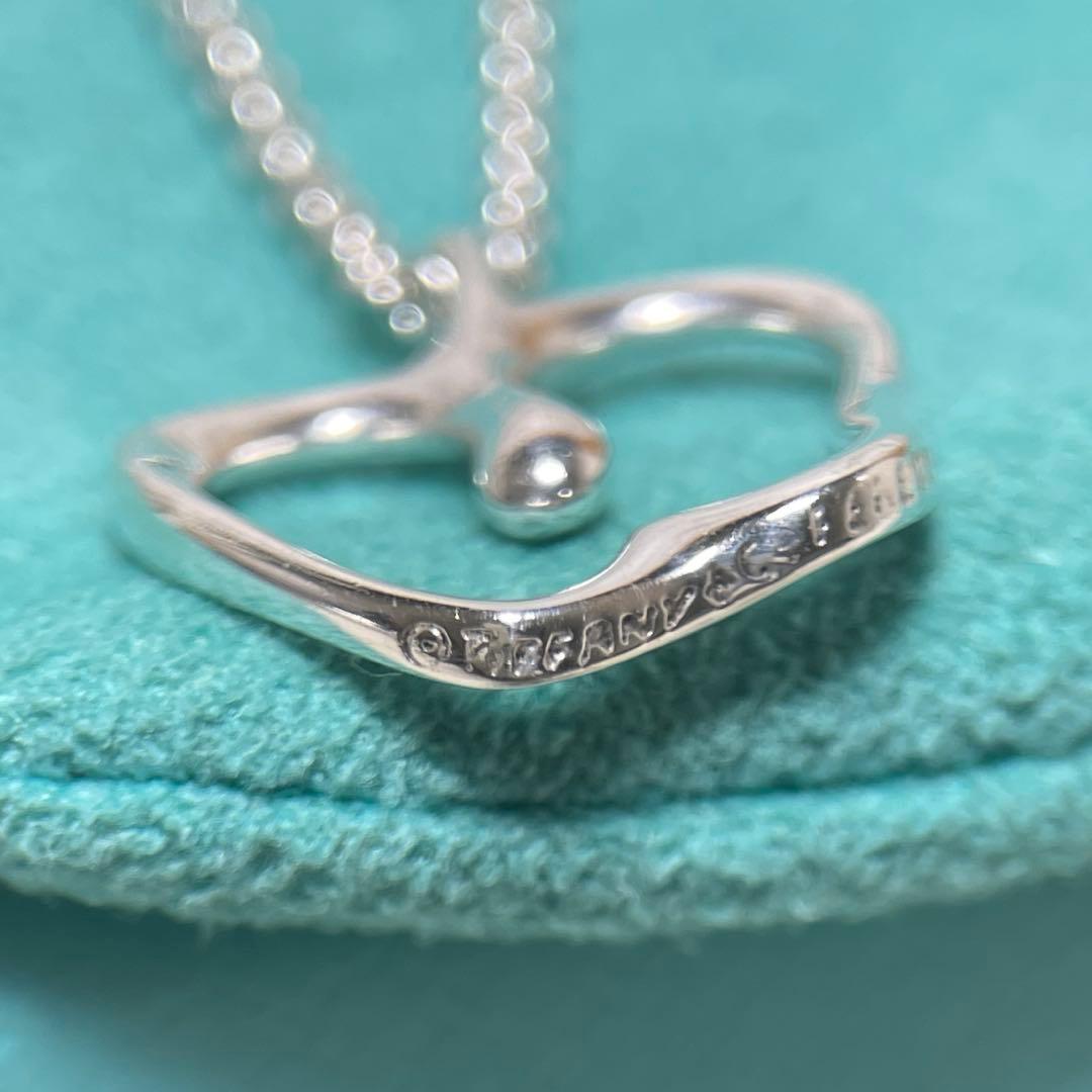 TIFFANY&Co.ティファニー　アップルモチーフネックレス 925