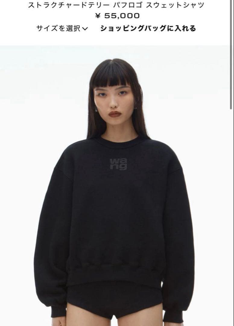 alexander wang パフロゴ　スウェットシャツ