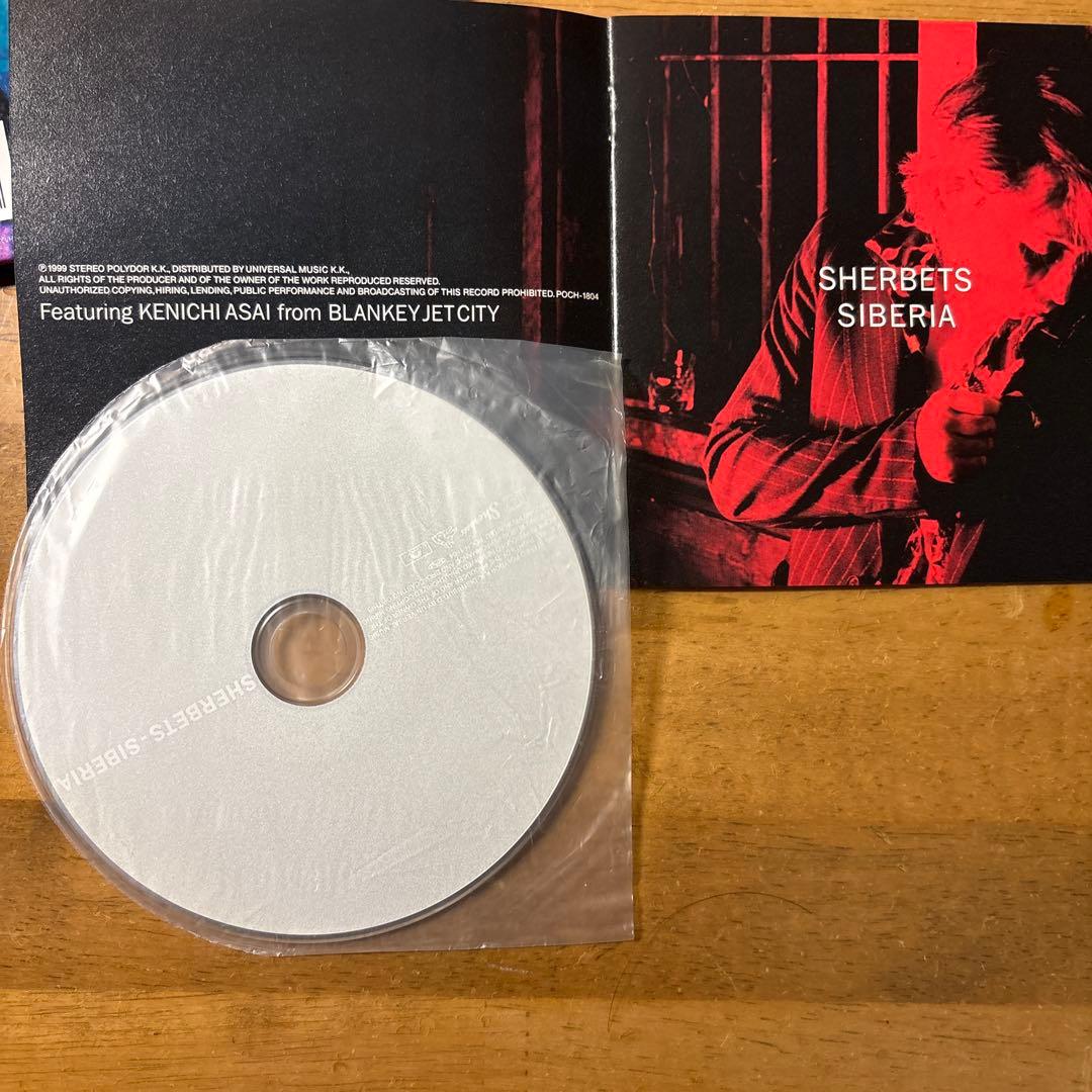 浅井健一　SHERBETS 初期5タイトル リーフレット8種セット