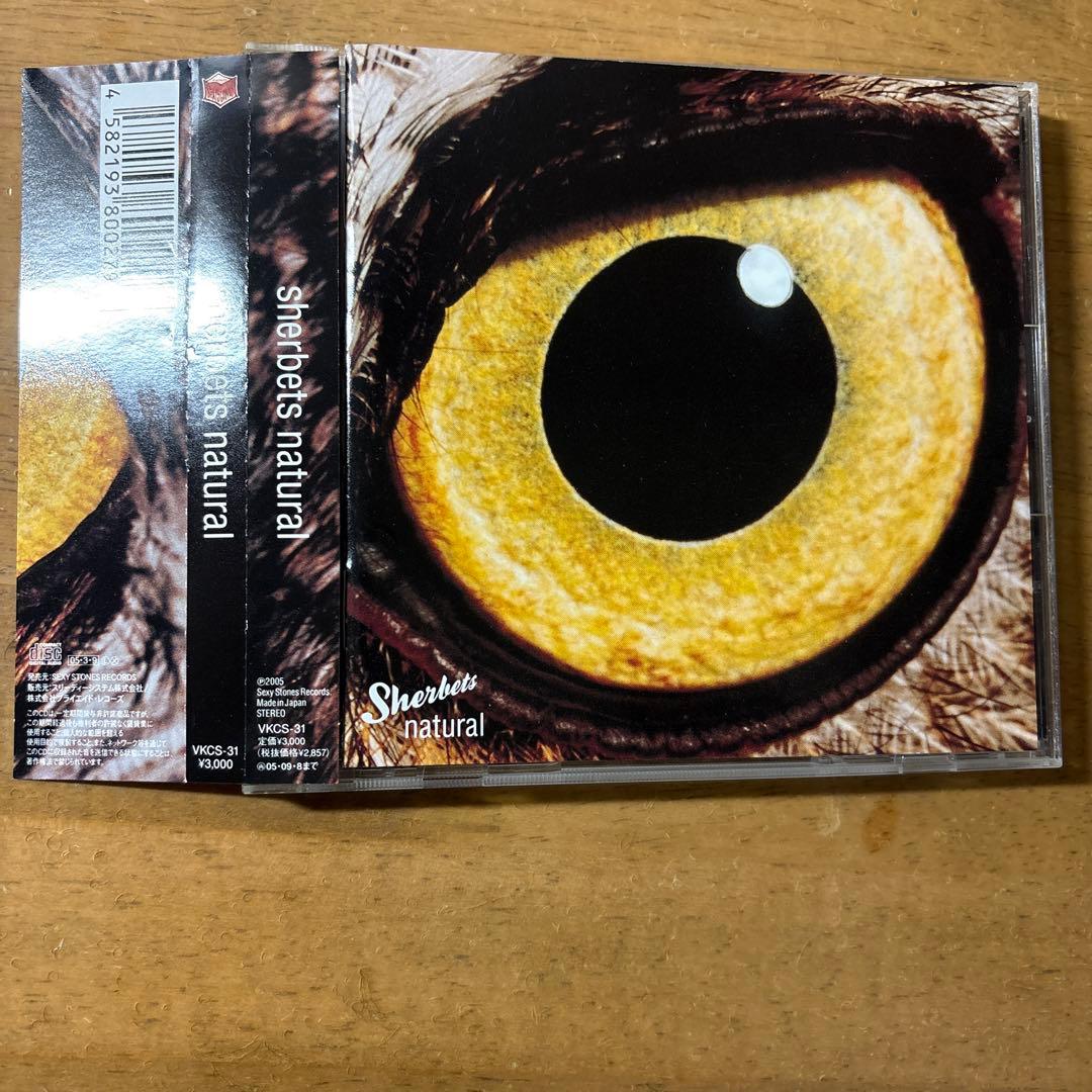 浅井健一　SHERBETS 初期5タイトル リーフレット8種セット