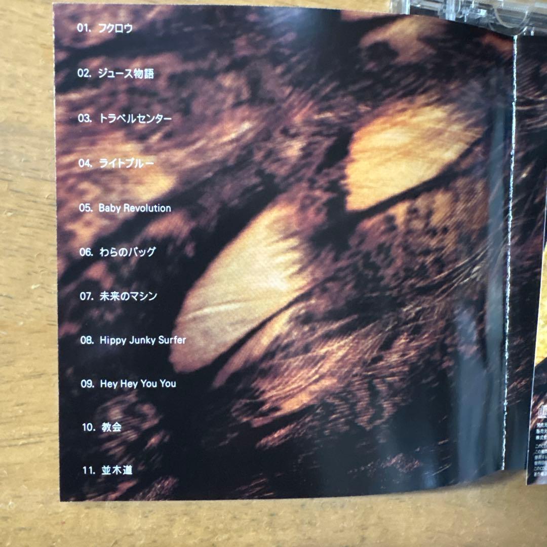 浅井健一　SHERBETS 初期5タイトル リーフレット8種セット