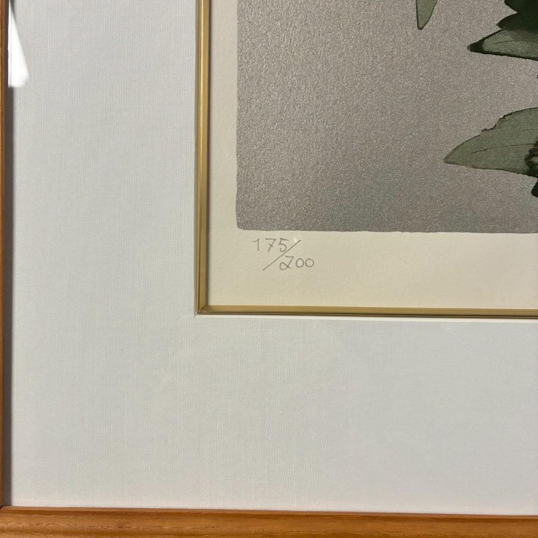 美品 中島千波「白牡丹」シルクスクリーン 大作 直筆サイン・印章・証明シール有