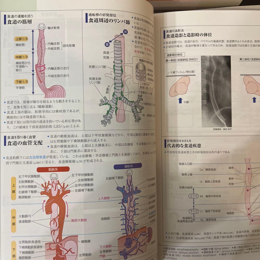 は*読様 病気がみえる 1-10巻 + レビュー本 2023 + QB 看護師