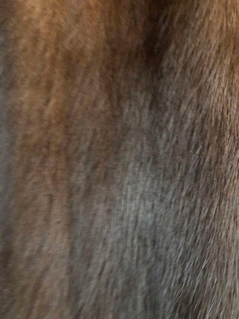 シュウオウ SAGA MINK ブラウン毛皮コート