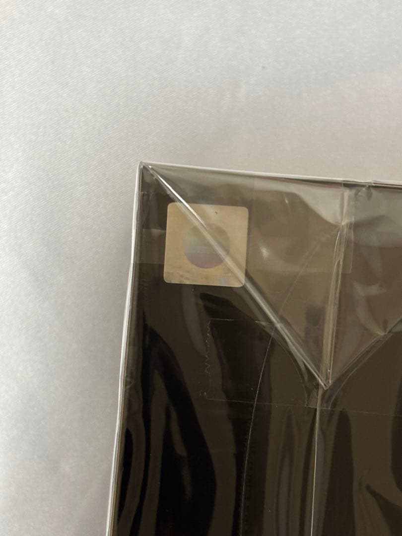 アイエン　フォクシニー　フィギュアstray kids skzoo