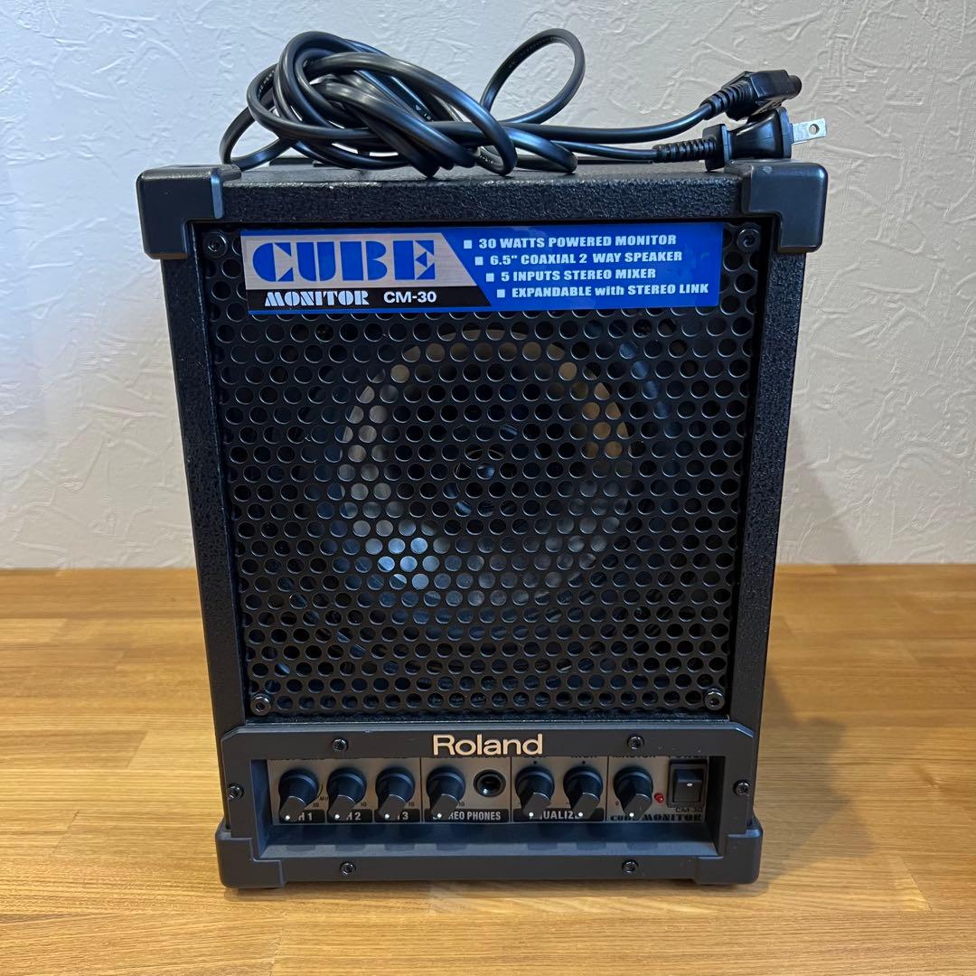 Roland Cube Monitor 30W CM-30 ローランド