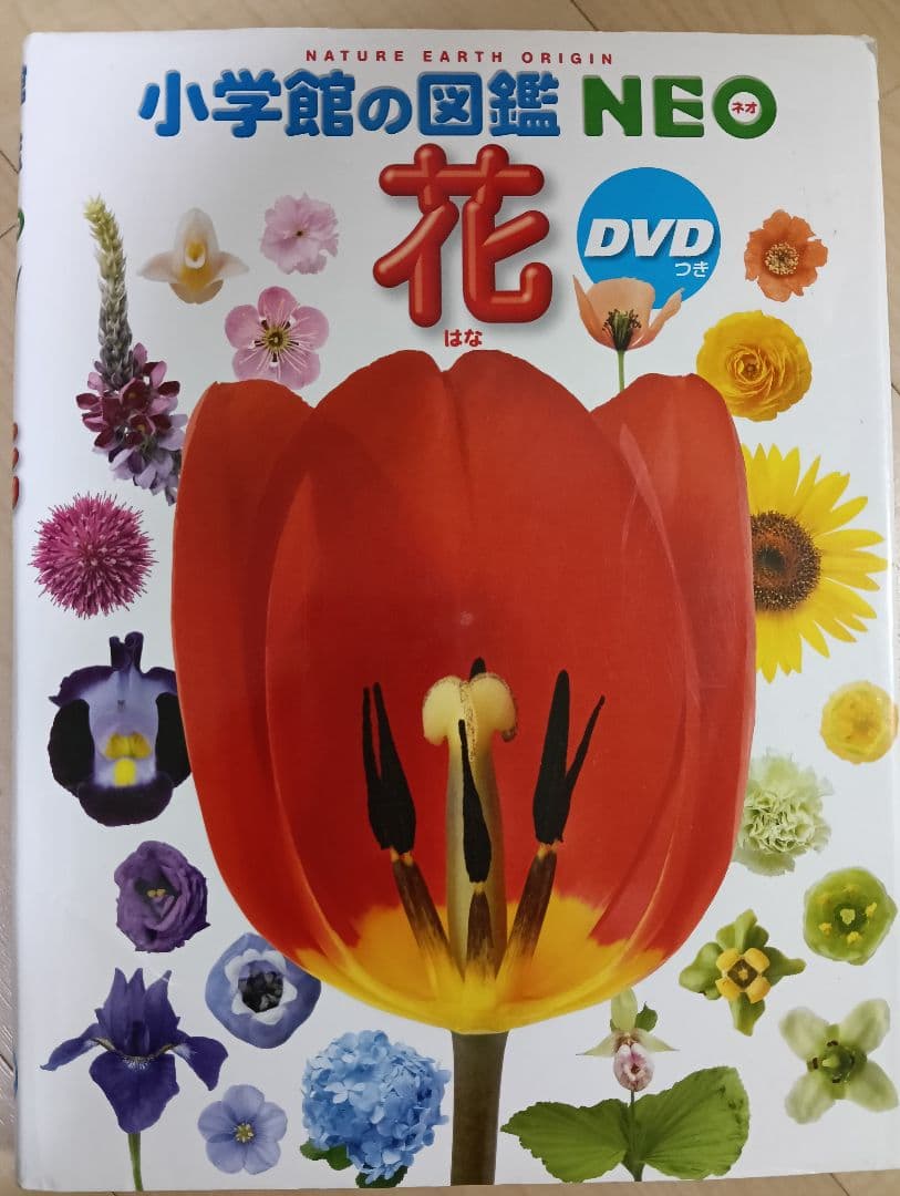 小学館の図鑑　NEO 新版　昆虫　花　恐竜　動物　鳥　魚 新版 学研　LIVE