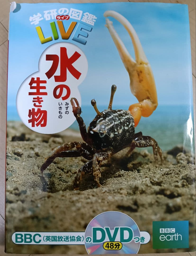 小学館の図鑑　NEO 新版　昆虫　花　恐竜　動物　鳥　魚 新版 学研　LIVE