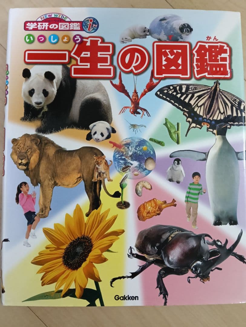 小学館の図鑑　NEO 新版　昆虫　花　恐竜　動物　鳥　魚 新版 学研　LIVE