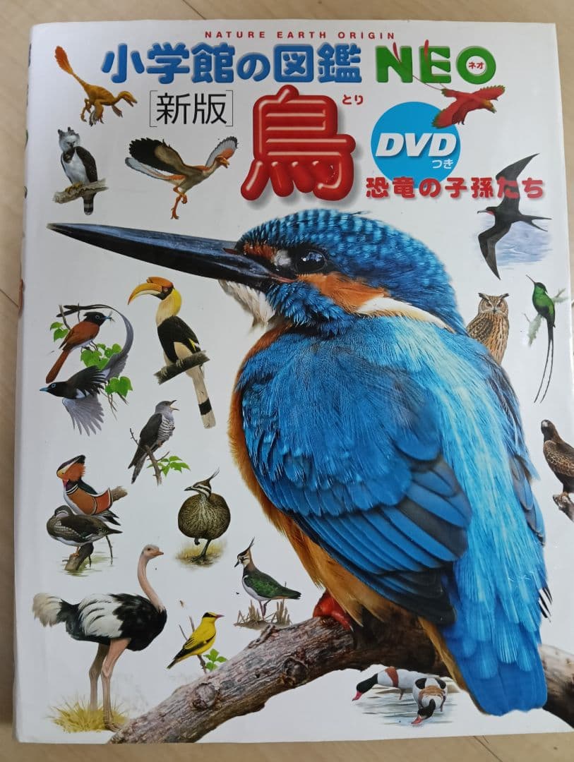 小学館の図鑑　NEO 新版　昆虫　花　恐竜　動物　鳥　魚 新版 学研　LIVE