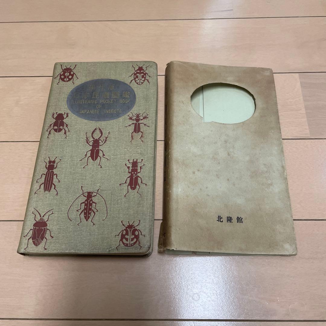 【希少】学生版 日本昆虫図鑑 昭和26年3月