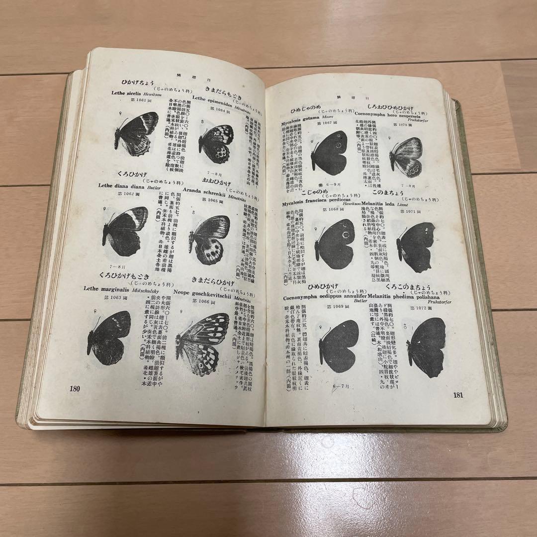 【希少】学生版 日本昆虫図鑑 昭和26年3月